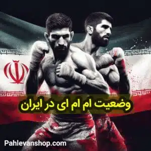 وضعیت ام ام ای در ایران