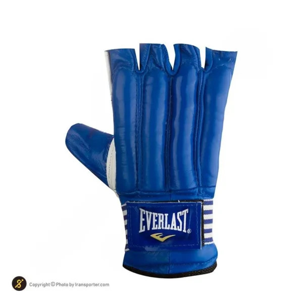 % دستکش کونگ فو چرمی Everlast BYT | آبی/سفید